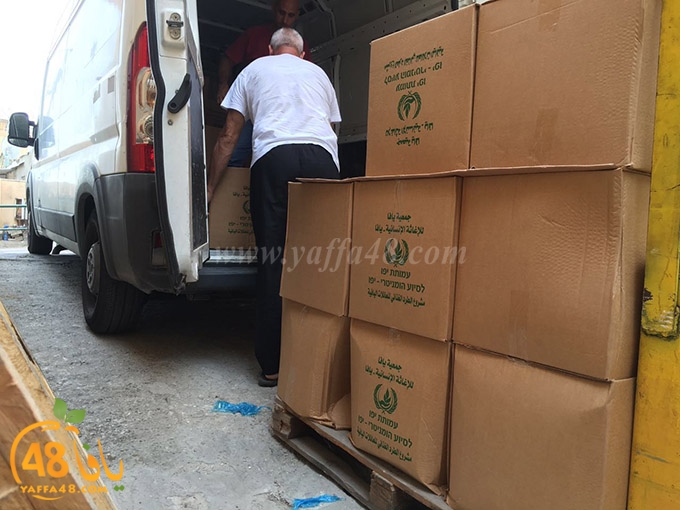 torold yaffa (6).jpg